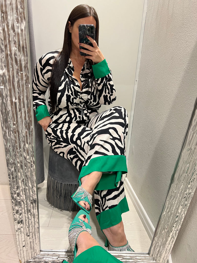 HaveOne•Camicia morbida zebrata banda verde